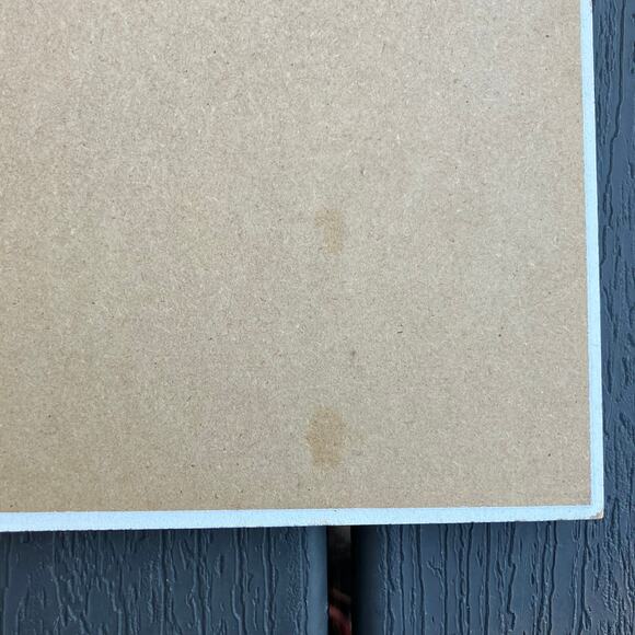 The Seine at Asnieres, The Skiff by Pierre-Auguste Renoir wooden board wall art - Picture 8 of 10